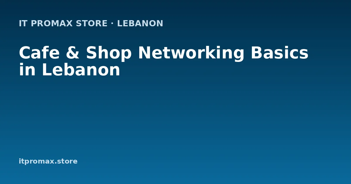 Cafe & Shop Networking Basics in Lebanon