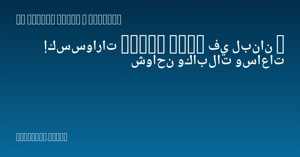 إكسسوارات Green Lion في لبنان — شواحن وكابلات وساعات