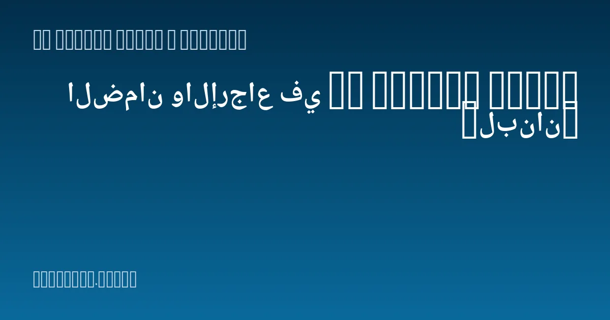 الضمان والإرجاع في IT Promax Store (لبنان)